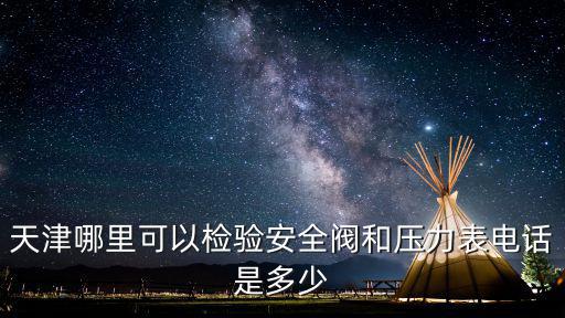 天津哪里可以檢驗安全閥和壓力表電話是多少
