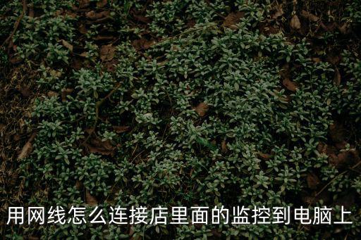 用網線怎么連接店里面的監控到電腦上