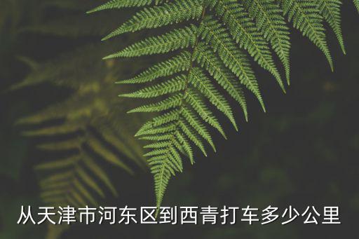 從天津市河東區到西青打車多少公里