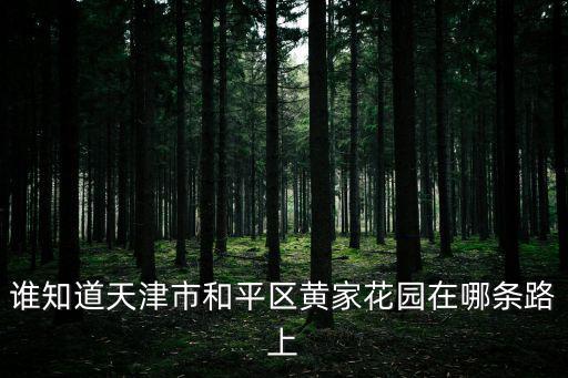誰知道天津市和平區黃家花園在哪條路上