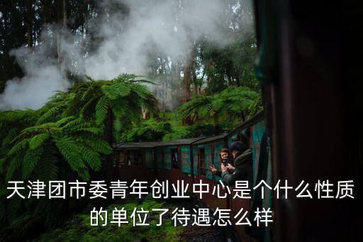 天津團(tuán)市委青年創(chuàng)業(yè)中心是個(gè)什么性質(zhì)的單位了待遇怎么樣