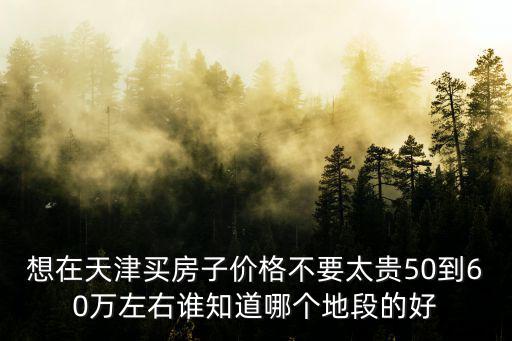 想在天津買房子價格不要太貴50到60萬左右誰知道哪個地段的好