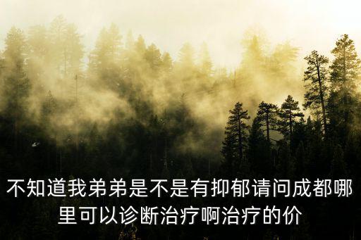 不知道我弟弟是不是有抑郁請問成都哪里可以診斷治療啊治療的價