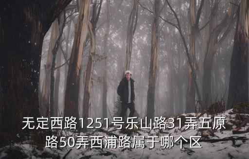 無定西路1251號樂山路31弄五原路50弄西浦路屬于哪個區