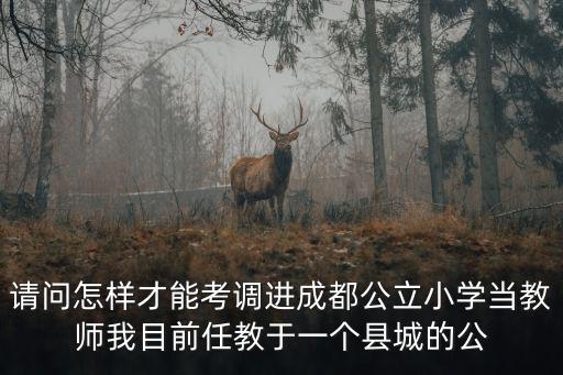 請問怎樣才能考調(diào)進(jìn)成都公立小學(xué)當(dāng)教師我目前任教于一個縣城的公
