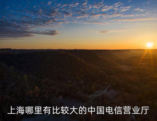 上海哪里有比較大的中國(guó)電信營(yíng)業(yè)廳