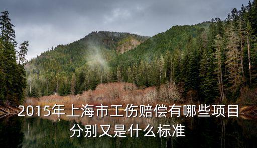 2015年上海市工傷賠償有哪些項目分別又是什么標準