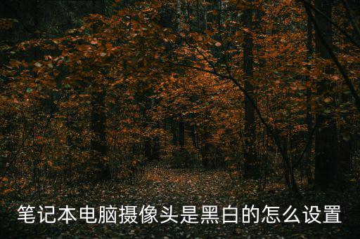 筆記本電腦攝像頭是黑白的怎么設置