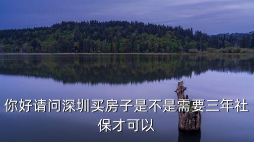 你好請(qǐng)問(wèn)深圳買房子是不是需要三年社保才可以