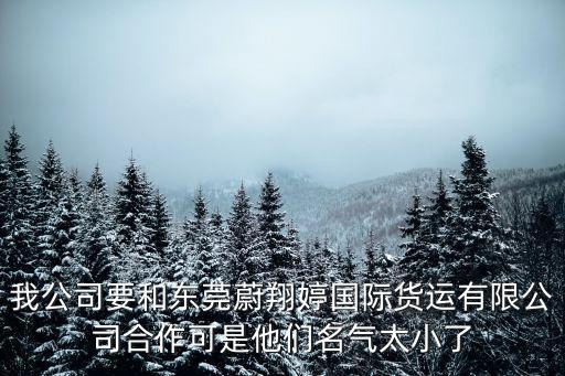 東莞 彩成達，我公司要和東莞蔚翔婷國際貨運有限公司合作可是他們名氣太小了