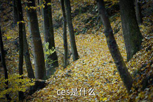ces是什么