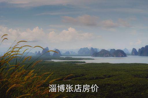 淄博張店房價