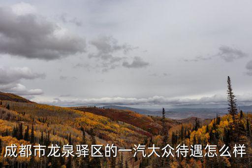 成都市龍泉驛區的一汽大眾待遇怎么樣
