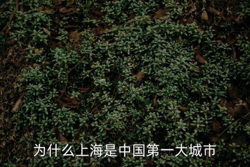 為什么上海是中國第一大城市