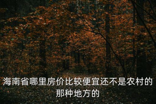 海南省哪里房價比較便宜還不是農村的那種地方的