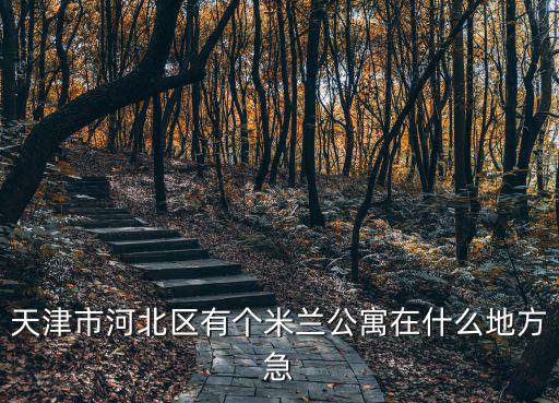 天津市河北區(qū)有個(gè)米蘭公寓在什么地方急