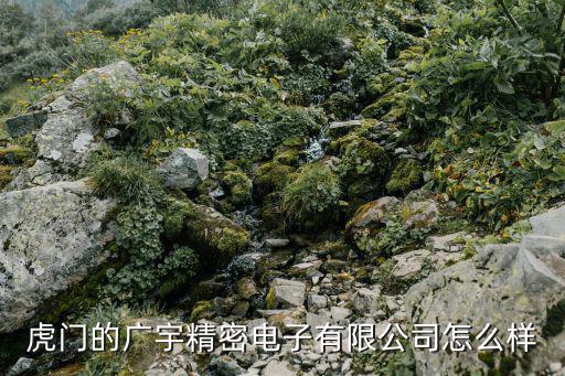 虎門的廣宇精密電子有限公司怎么樣