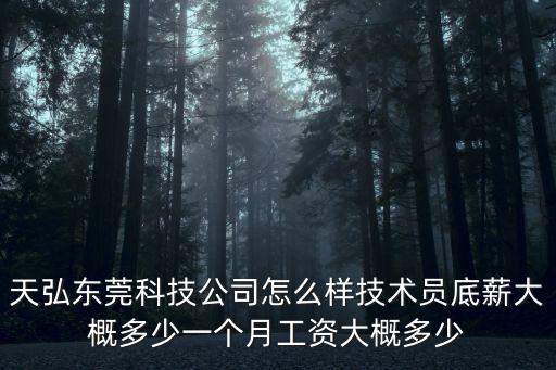 天弘東莞科技公司怎么樣技術員底薪大概多少一個月工資大概多少