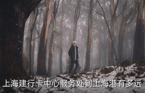 上海建行卡中心服務處到上海港有多遠