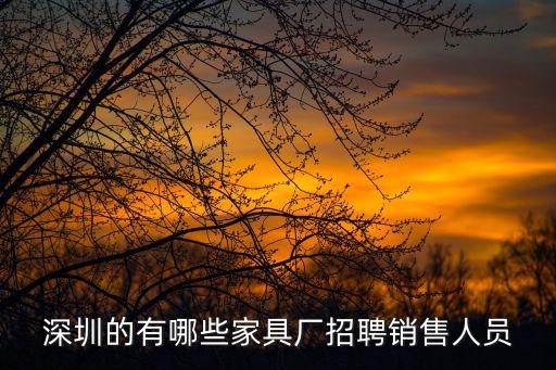 深圳的有哪些家具廠招聘銷售人員