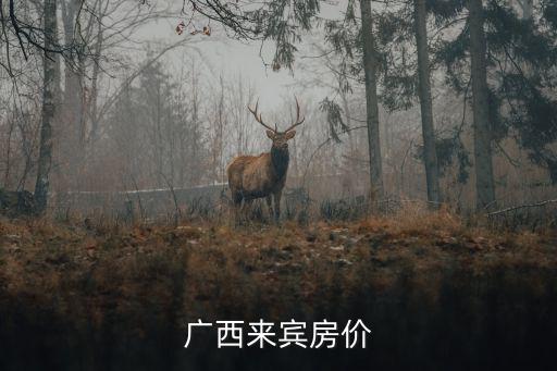 廣西來賓房價