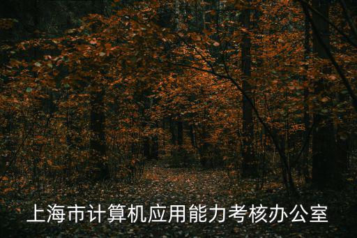 上海市計(jì)算機(jī)應(yīng)用能力考核辦公室