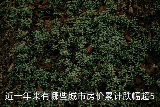 近一年來有哪些城市房價累計跌幅超5