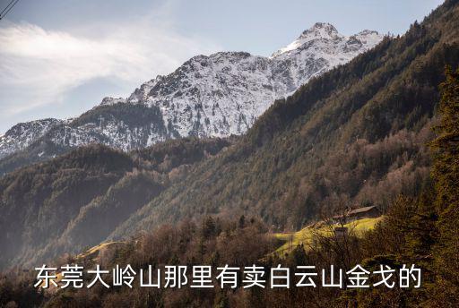 東莞大嶺山那里有賣白云山金戈的