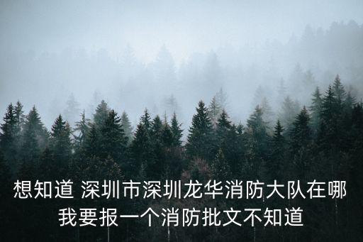 想知道 深圳市深圳龍華消防大隊在哪我要報一個消防批文不知道
