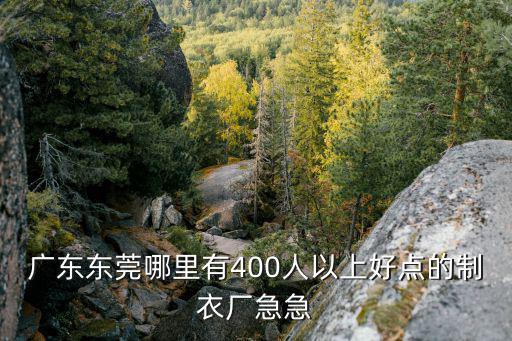 廣東東莞哪里有400人以上好點的制衣廠急急
