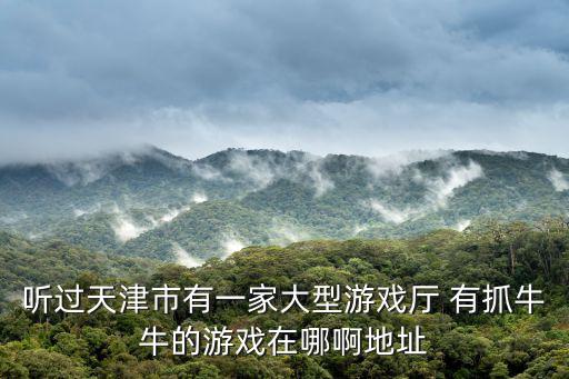 天津市和平路我要夾娃娃，天津哪個游戲廳夾娃娃機器里的娃娃好