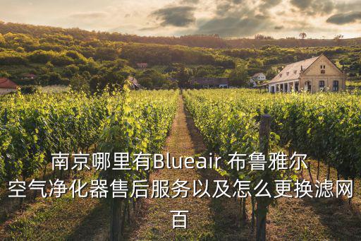 南京哪里有Blueair 布魯雅爾空氣凈化器售后服務以及怎么更換濾網百