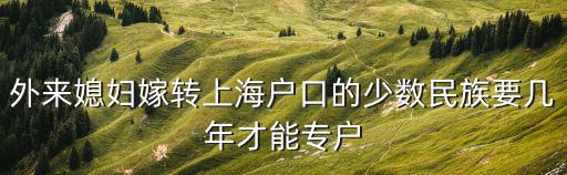 上海市結建審批管理實施細則，上海市實施居民委員會組織法辦法