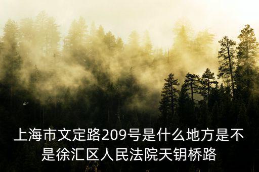 上海市文定路209號(hào)是什么地方是不是徐匯區(qū)人民法院天鑰橋路