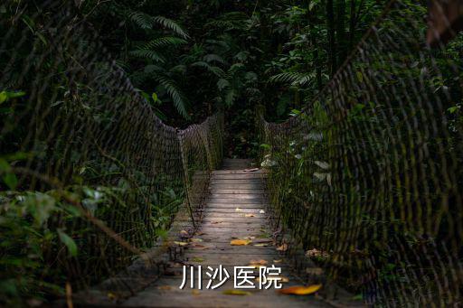 上海市川沙中醫(yī)院招聘，上海浦東川沙中醫(yī)院在哪里