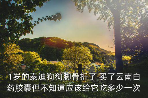 1歲的泰迪狗狗腳骨折了 買了云南白藥膠囊但不知道應(yīng)該給它吃多少一次