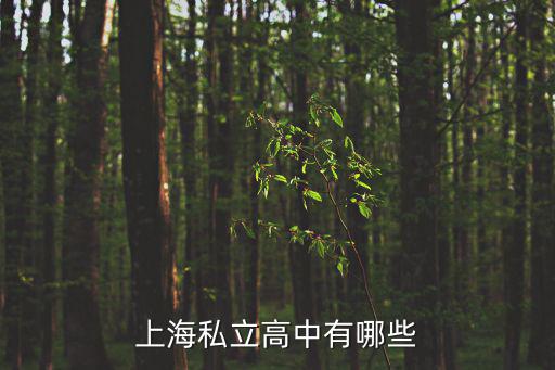 上海市桐柏高級中學周嘉誠，上海培佳雙語學校的校長介紹