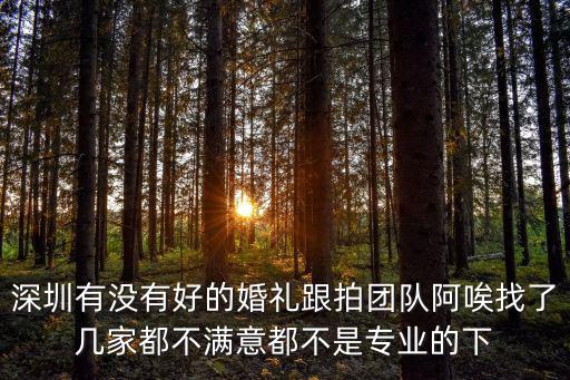 深圳有沒有好的婚禮跟拍團(tuán)隊(duì)阿唉找了幾家都不滿意都不是專業(yè)的下