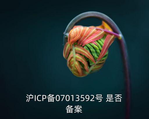 滬ICP備07013592號 是否備案