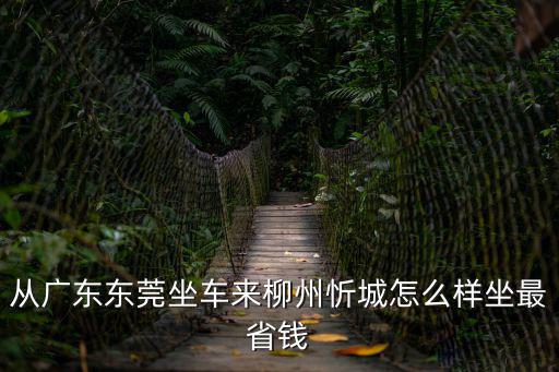 從廣東東莞坐車來柳州忻城怎么樣坐最省錢