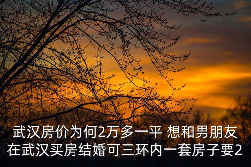 武漢房?jī)r(jià)為何2萬(wàn)多一平 想和男朋友在武漢買房結(jié)婚可三環(huán)內(nèi)一套房子要2