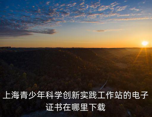 上海市青少年科學創新實踐工作，上海市青少年科學創新實踐工作站參與有用嗎
