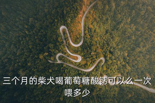 三個月的柴犬喝葡萄糖酸鈣可以么一次喂多少