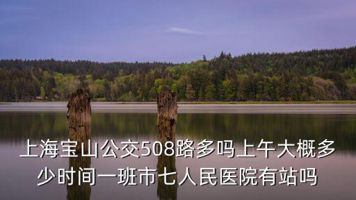 上海寶山公交508路多嗎上午大概多少時間一班市七人民醫院有站嗎