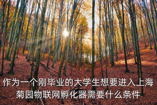 作為一個剛畢業的大學生想要進入上海菊園物聯網孵化器需要什么條件