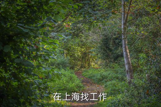 在上海找工作