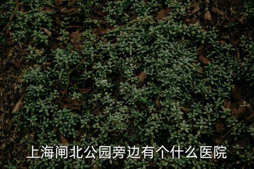 上海閘北公園旁邊有個什么醫院