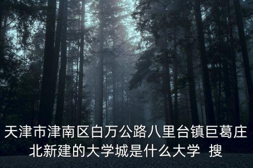 天津市津南區辛莊鎮任慶福，天津市津南區白萬公路八里臺鎮巨葛莊北新建的大學城是什么大學  搜