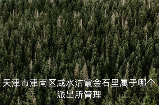 天津市津南區咸水沽霞金石里屬于哪個派出所管理