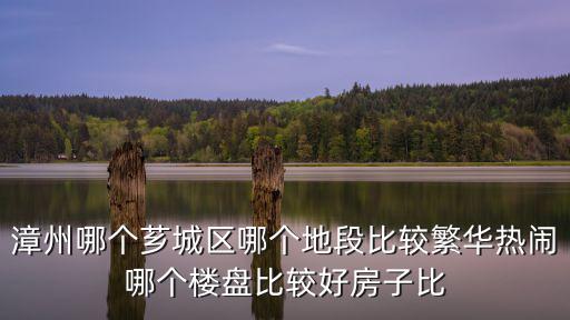 漳州哪個薌城區(qū)哪個地段比較繁華熱鬧哪個樓盤比較好房子比